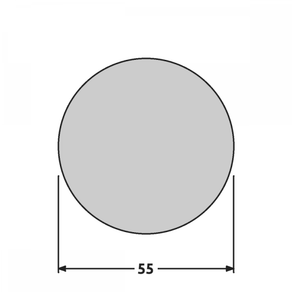 RO55